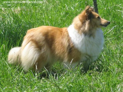 Morestyle peaches and cream de Moorestile