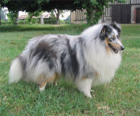 Arthur de Moorstile