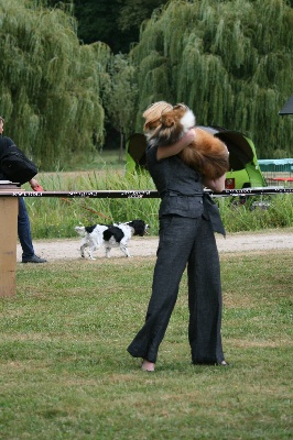 de Moorstile - Presque champion lol